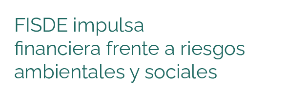 banner_web_fisde_-_estabilidad_ambiental-03.png